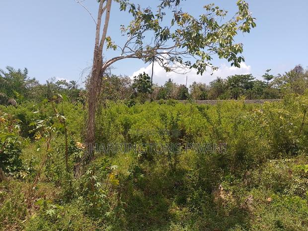 1.25 Acre Corner Plot | 3rd Row Galu-Kinondo | 3 Mins to Beach - thumbnail 4