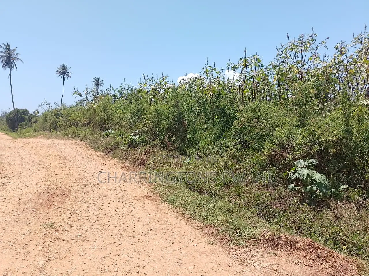 1.25 Acre Corner Plot | 3rd Row Galu-Kinondo | 3 Mins to Beach