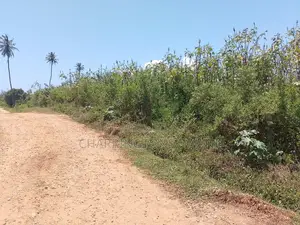 1.25 Acre Corner Plot | 3rd Row Galu-Kinondo | 3 Mins to Beach
