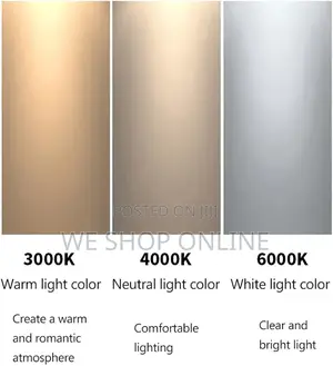 Flush Mount Ceiling Light