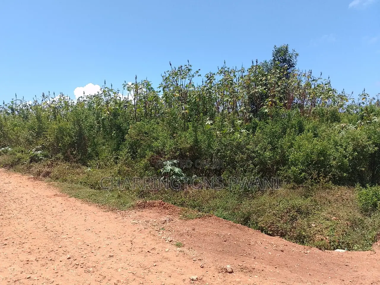 1.25 Acre Corner Plot | 3rd Row Galu-Kinondo | 3 Mins to Beach