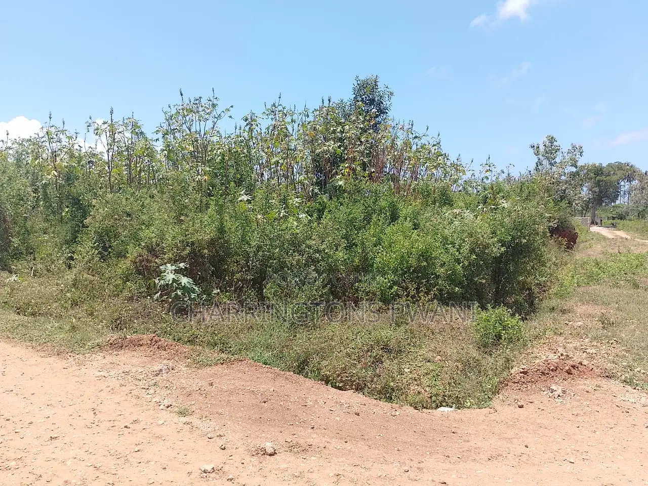 1.25 Acre Corner Plot | 3rd Row Galu-Kinondo | 3 Mins to Beach