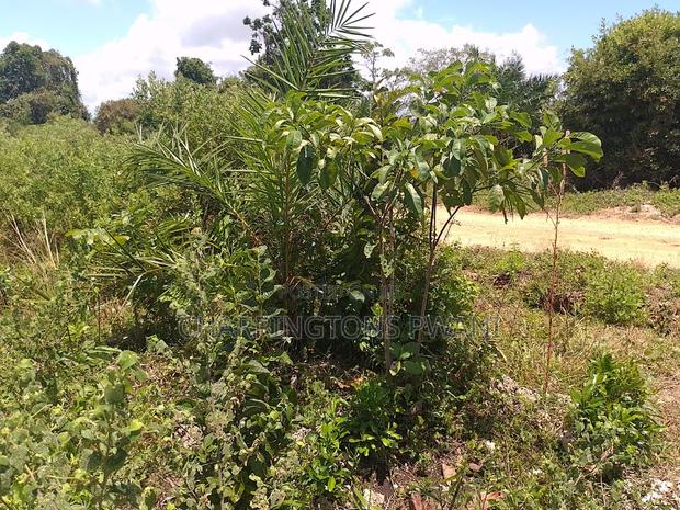 1.25 Acre Corner Plot | 3rd Row Galu-Kinondo | 3 Mins to Beach - thumbnail 8