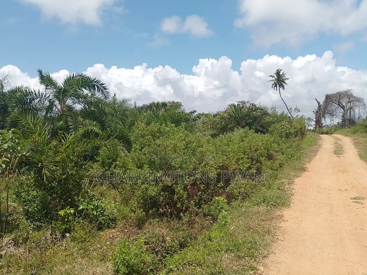 1.25 Acre Corner Plot | 3rd Row Galu-Kinondo | 3 Mins to Beach
