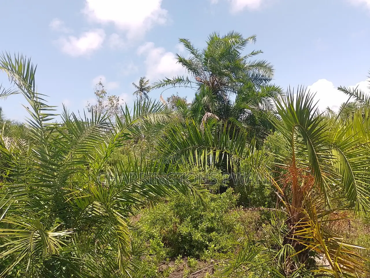 1.25 Acre Corner Plot | 3rd Row Galu-Kinondo | 3 Mins to Beach