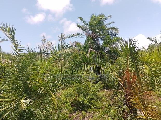 1.25 Acre Corner Plot | 3rd Row Galu-Kinondo | 3 Mins to Beach - thumbnail 10