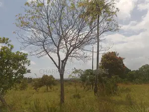 1 Acre Plot| Ocean Mombasa Skyline Views|Gentle Slope| Dongo Kundu