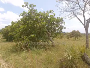 1 Acre Plot| Ocean Mombasa Skyline Views|Gentle Slope| Dongo Kundu