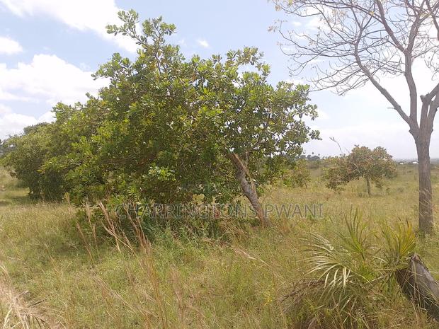 1 Acre Plot| Ocean Mombasa Skyline Views|Gentle Slope| Dongo Kundu - thumbnail 3