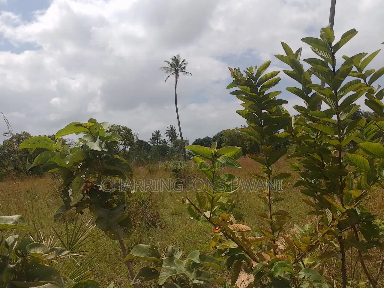 1 Acre Plot| Ocean Mombasa Skyline Views|Gentle Slope| Dongo Kundu