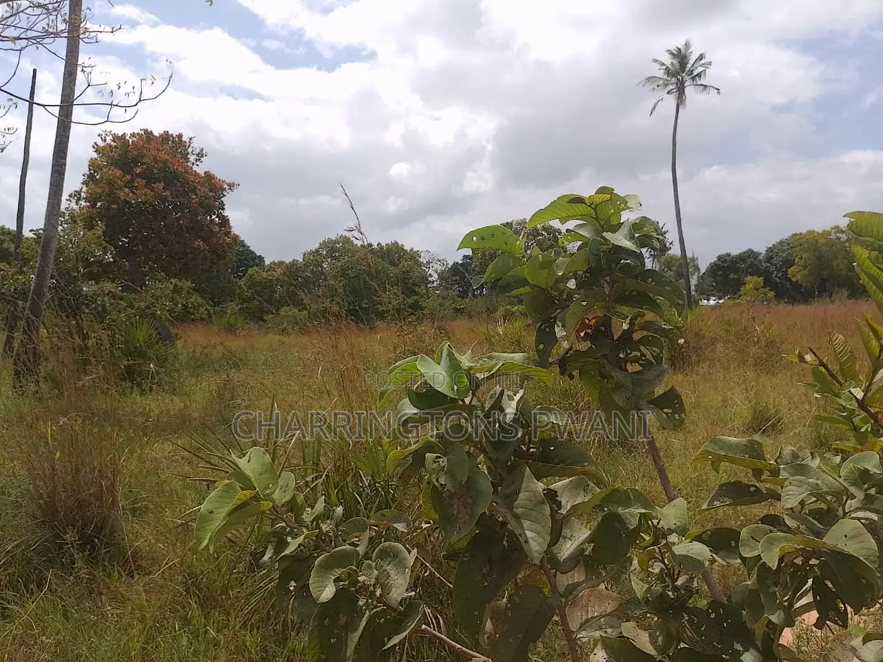 1 Acre Plot| Ocean Mombasa Skyline Views|Gentle Slope| Dongo Kundu