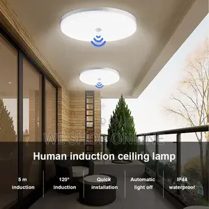 Led Ceiling Light With Motion Sensor