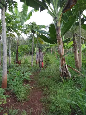 Garden Landscaping Farming Construction