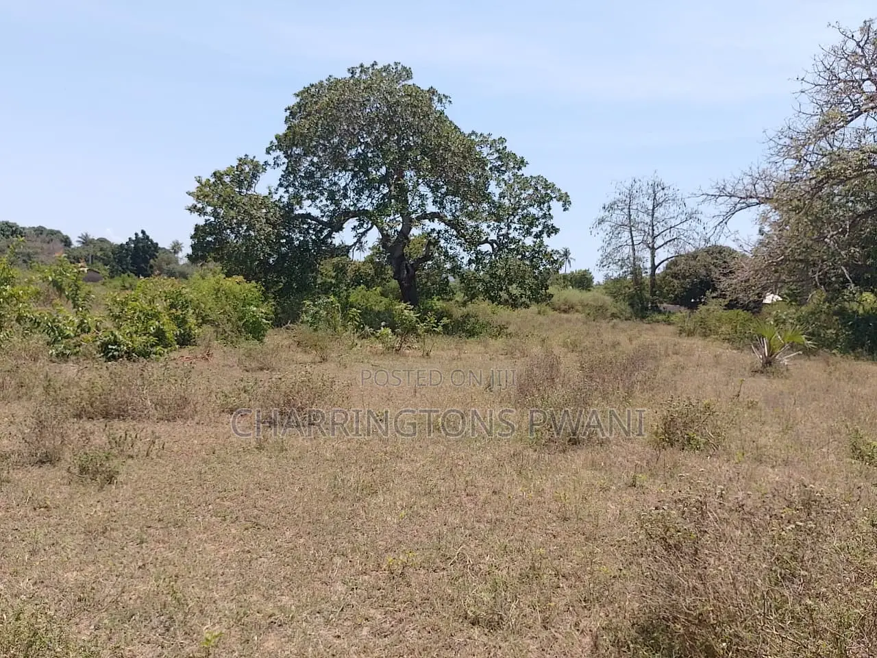 1.75 Acres| Flat| Water Electricity| Dongo Kundu Bypass| Ng'ombeni