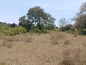 1.75 Acres| Flat| Water Electricity| Dongo Kundu Bypass| Ng'ombeni