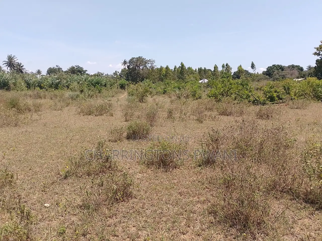 1.75 Acres| Flat| Water Electricity| Dongo Kundu Bypass| Ng'ombeni