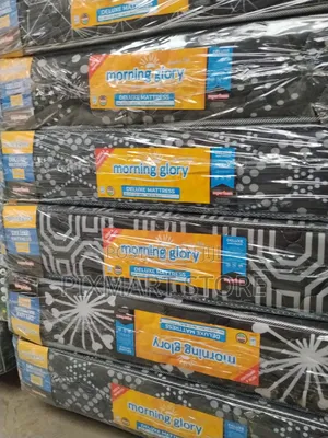 From Morning Glory We Are Selling 8 Inches, 4×6 Quilted Mattress