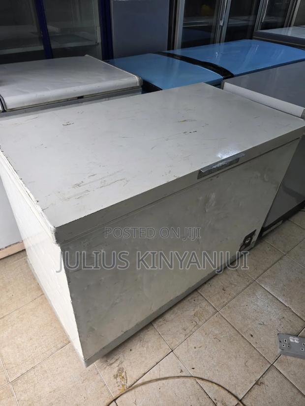 Deep Freezer 350l Frigidaire - main view