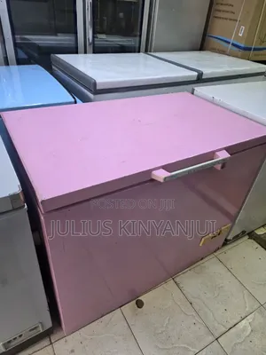 330l Deep Freezer Solid Door