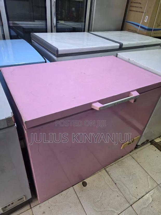 330l Deep Freezer Solid Door