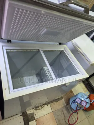 300l Ramtons One Door Freezer