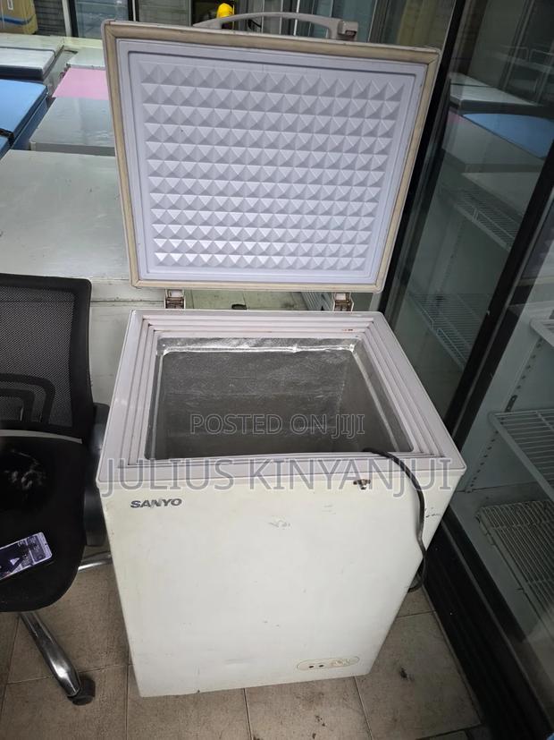 Mini Freezer 110l Sanyo