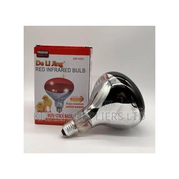 De Li Jing 220 Volt Red Infrared Bulb