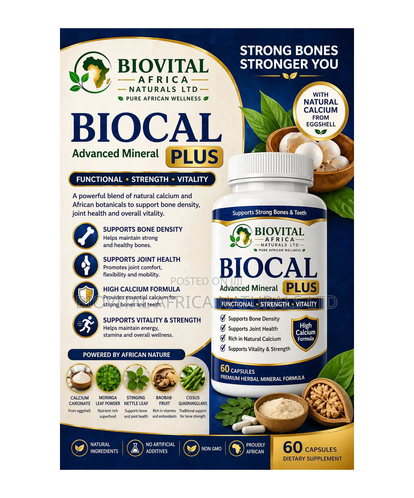 Biocal High Calcium Formula for Strong Bones Teeth (60 Capsules)