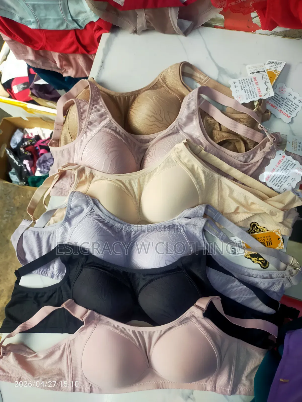 Padded and Wireless Bra