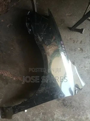 Filder Clean Wing's Ex Japan