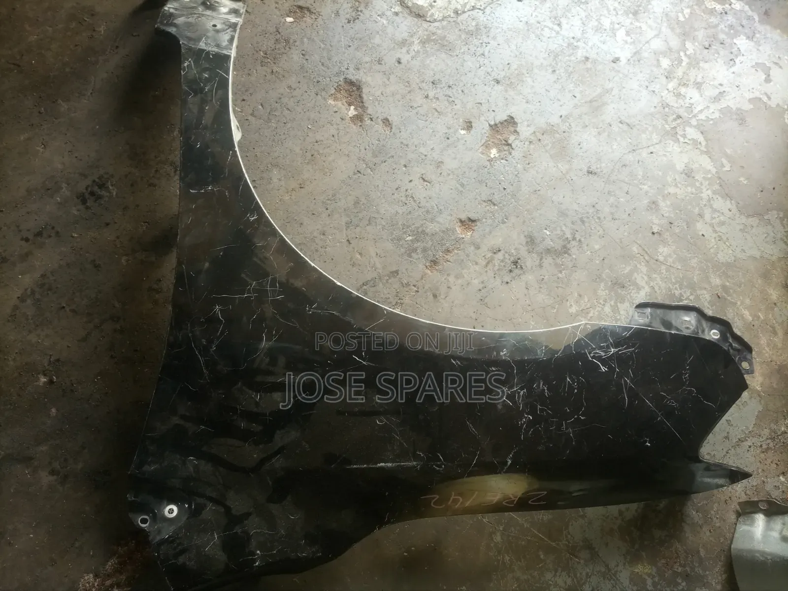 Filder Clean Wing's Ex Japan
