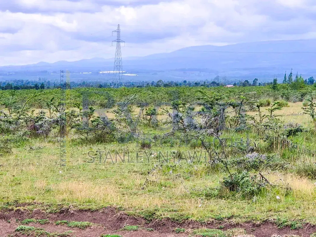 4 Acrea Nanyuki Ereri Opp Olopjeta Gate