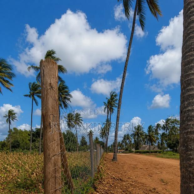 5th Row Property Kilifi 50 by 100 - thumbnail 6