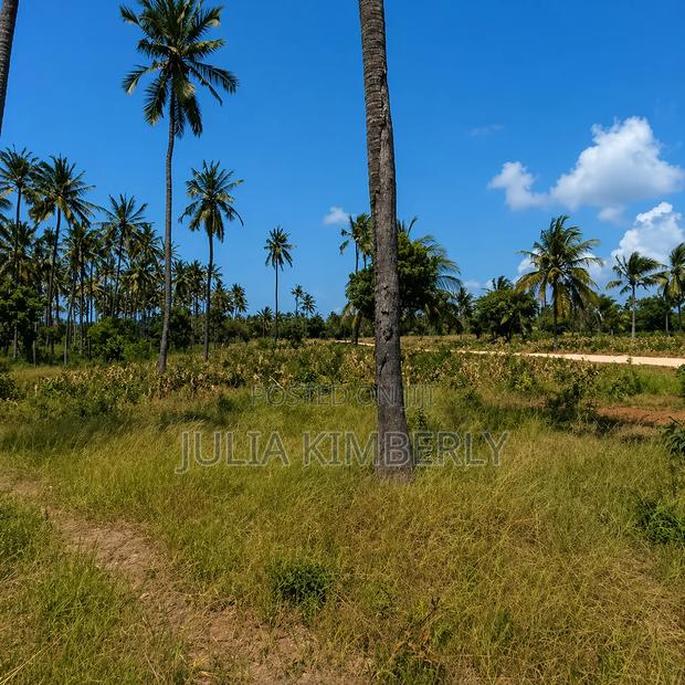 5th Row Property Kilifi 50 by 100 - thumbnail 8