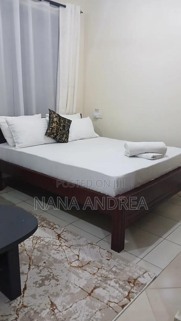 Spacious Furnished Studio in Nyali,Beach Road - thumbnail 3