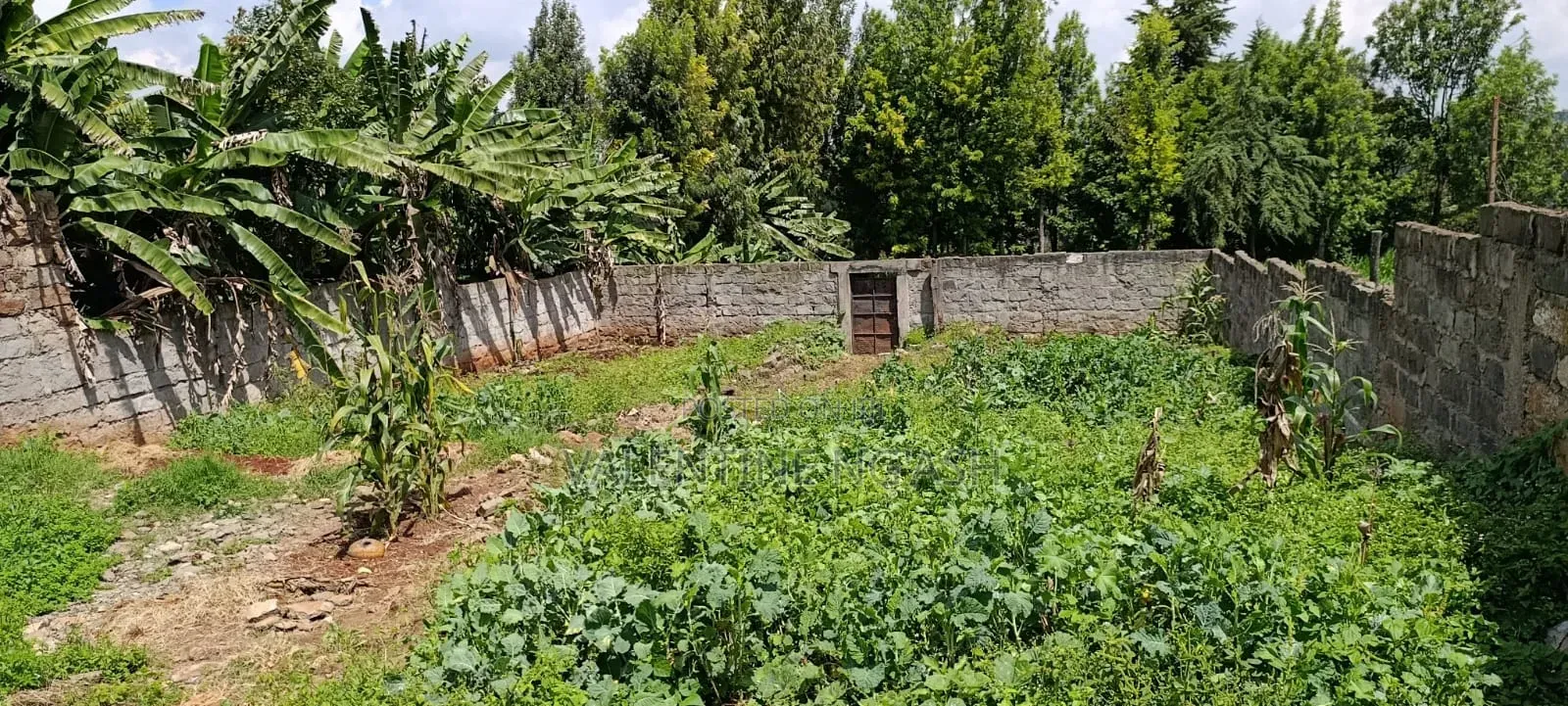 Prime Plot for Sale in Kikuyu