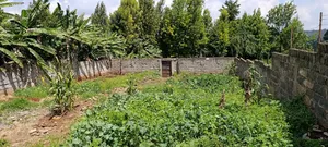 Prime Plot for Sale in Kikuyu