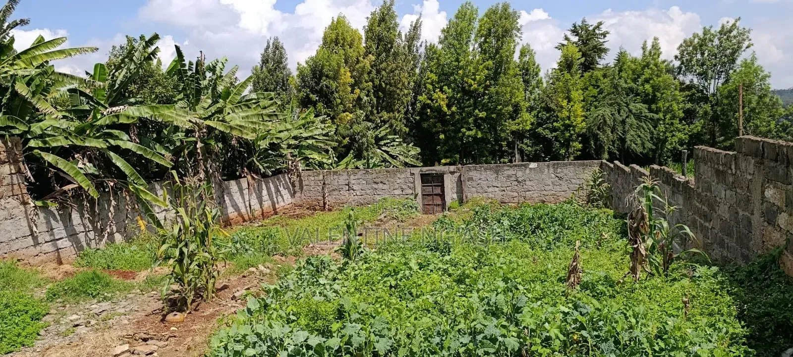 Prime Plot for Sale in Kikuyu