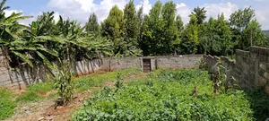 Prime Plot for Sale in Kikuyu