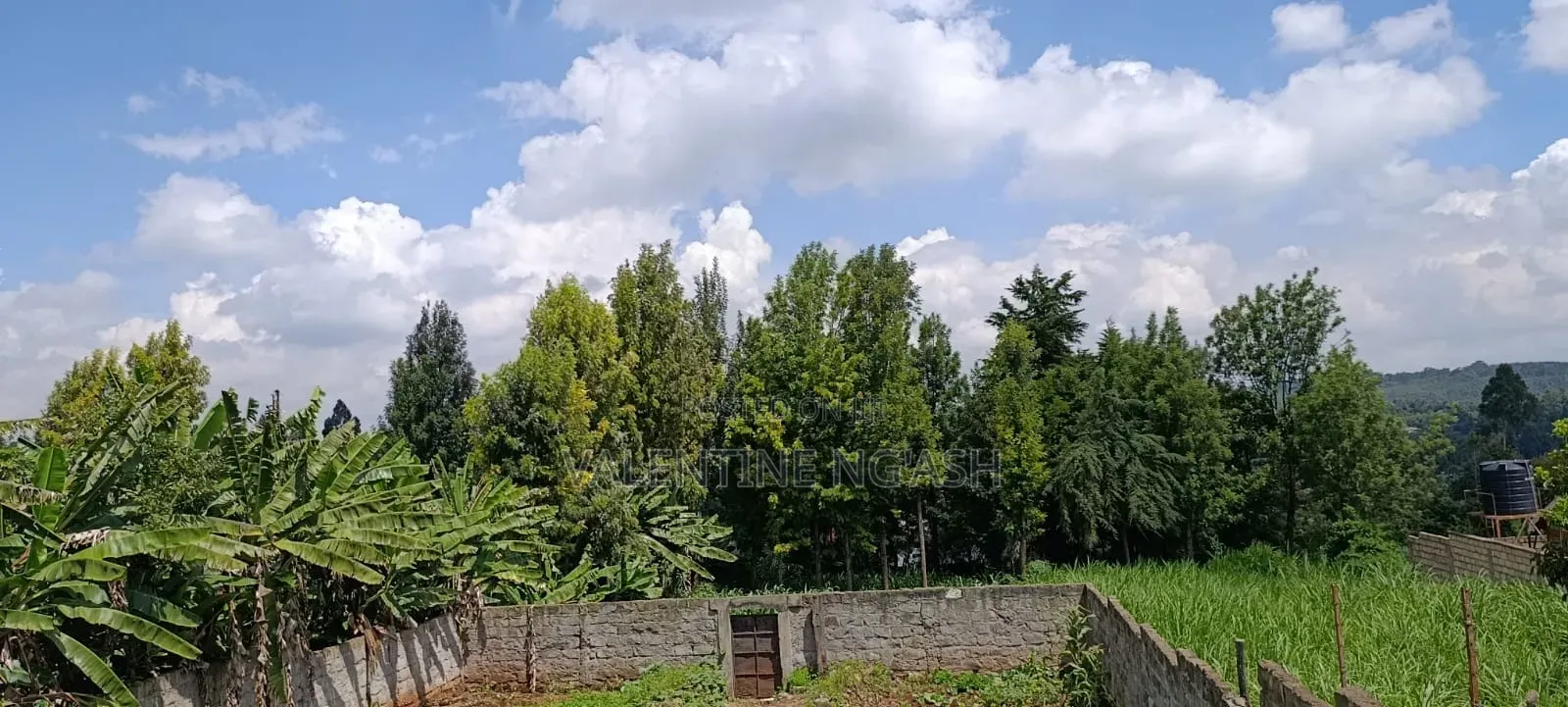 Prime Plot for Sale in Kikuyu
