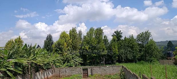 Prime Plot for Sale in Kikuyu - thumbnail 5