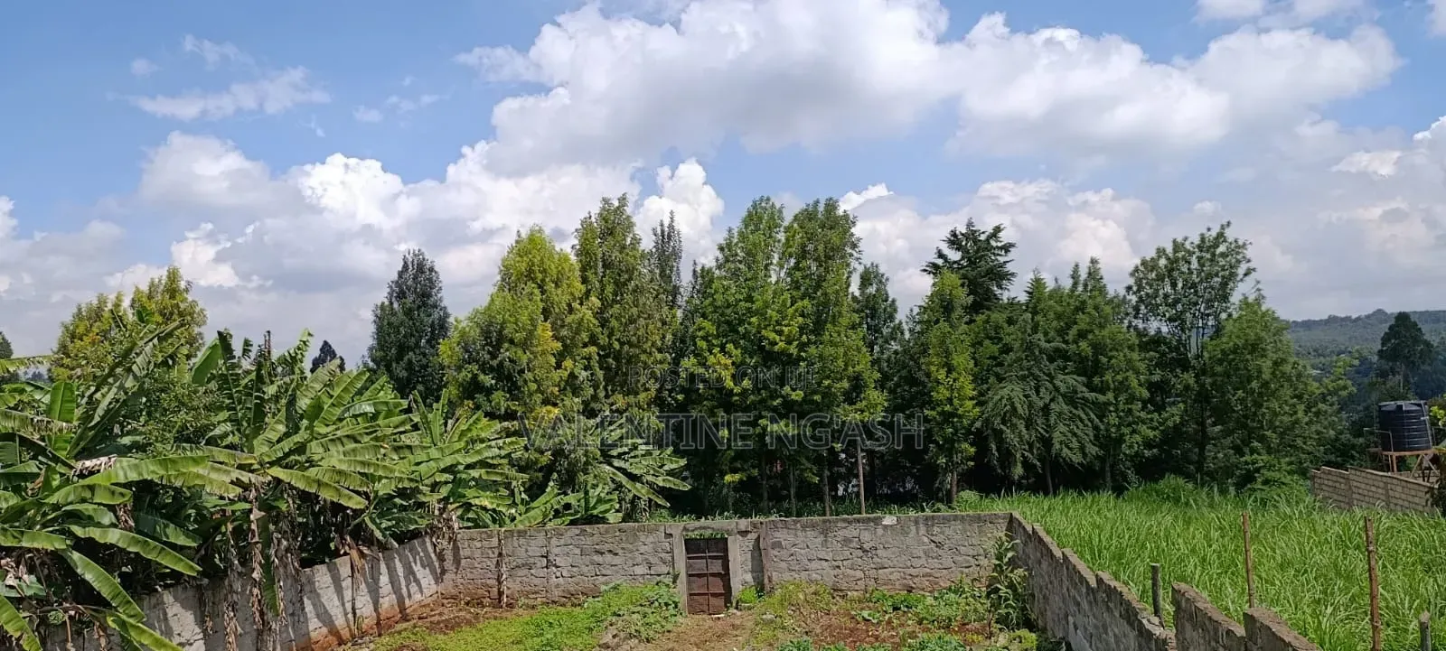 Prime Plot for Sale in Kikuyu