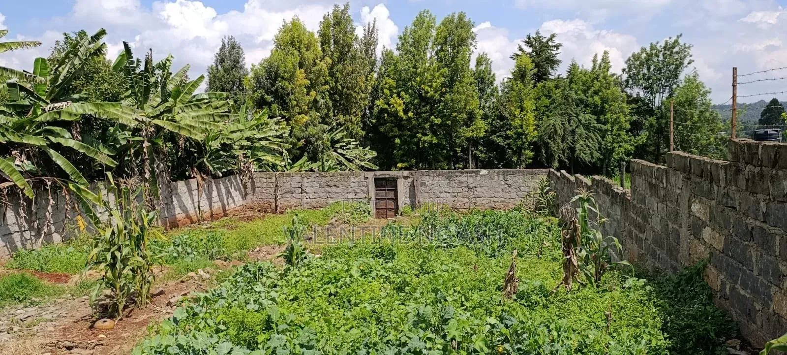 Prime Plot for Sale in Kikuyu