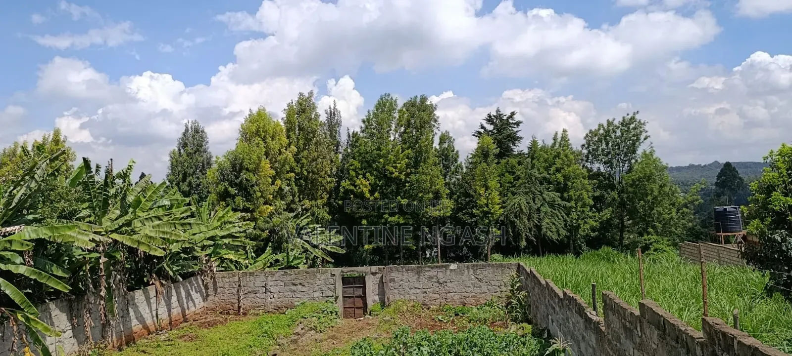 Prime Plot for Sale in Kikuyu