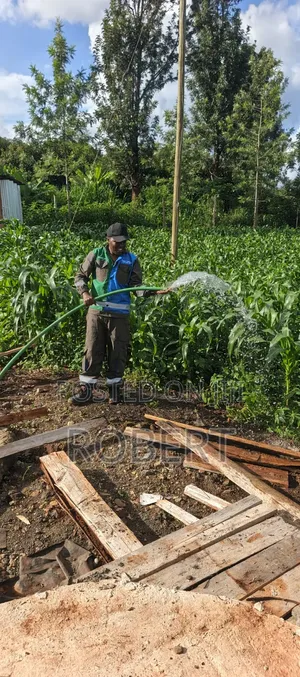Borehole Pumps Installation