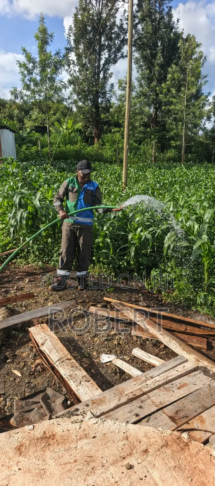 Borehole Pumps Installation