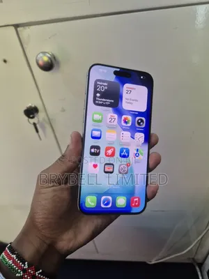 Apple iPhone 15 Pro Max 256 GB Gray