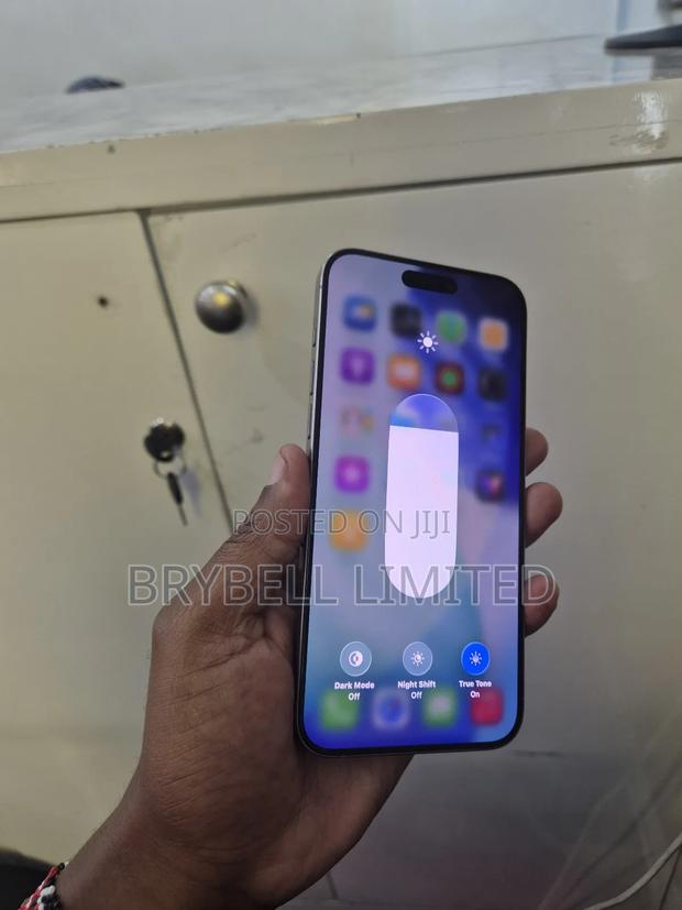 Apple iPhone 15 Pro Max 256 GB Gray - thumbnail 3