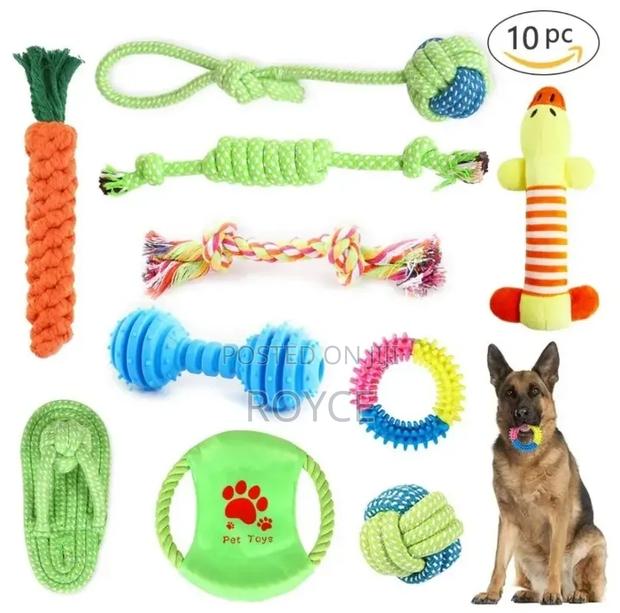 10pc Dog Chew Toy Set - main view