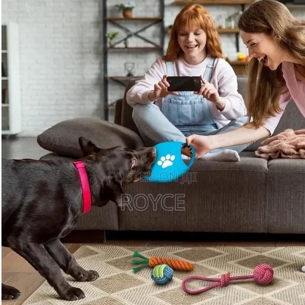 10pc Dog Chew Toy Set - thumbnail 2